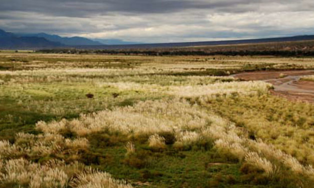 Patagonia Honeymoon